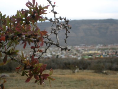 argentinien_originale 346.jpg